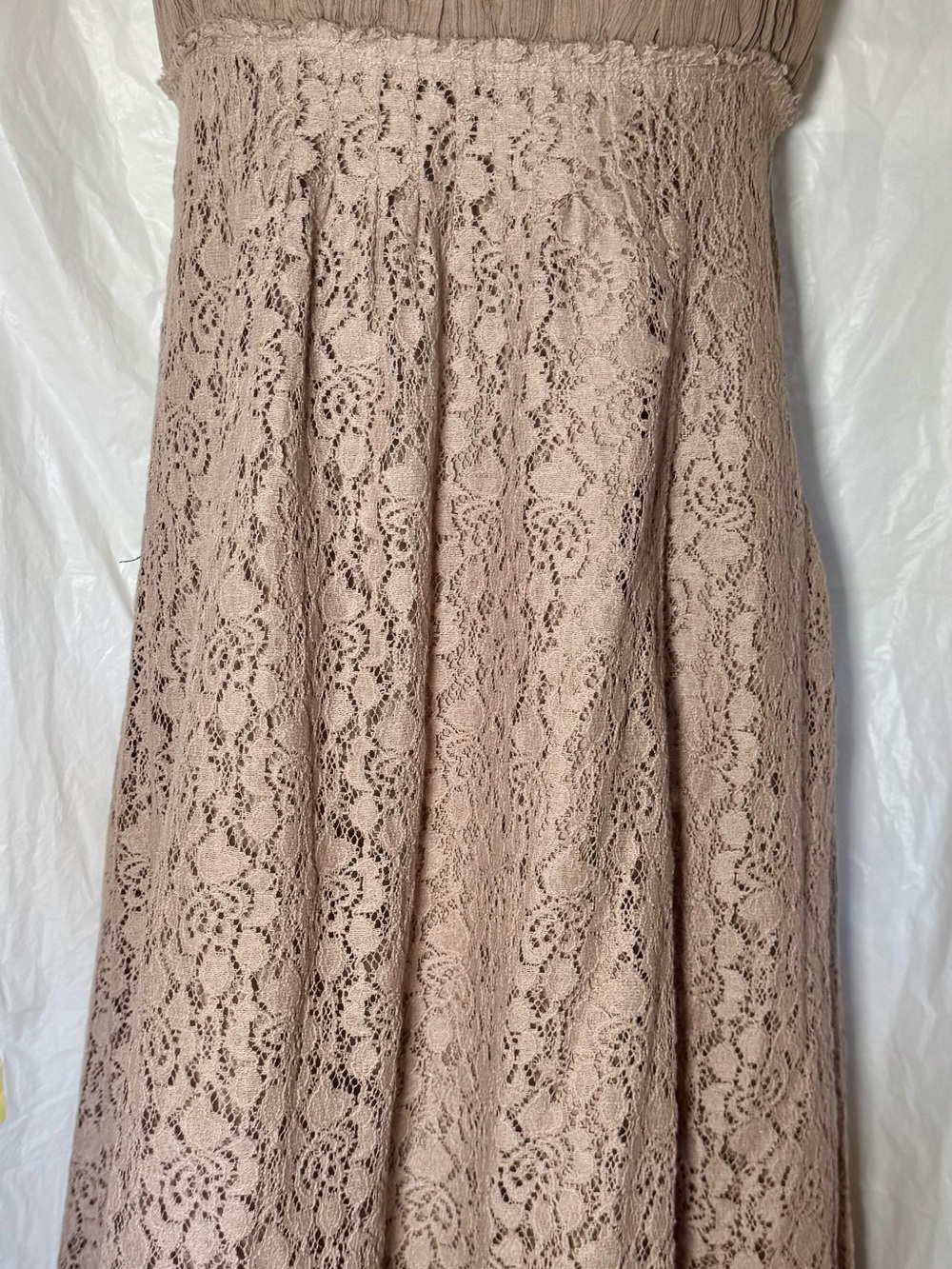 Strapless Lace Maxi Dress in Blush